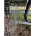 Wire Guard for Solar Farms